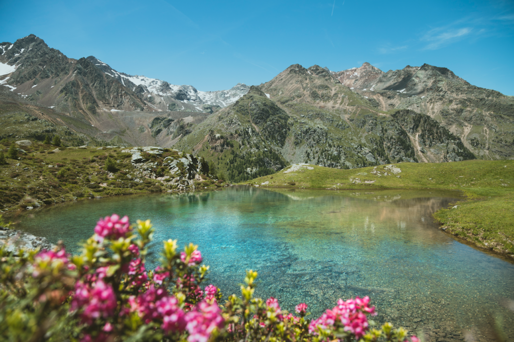 Der Wasserfallsee der 4 Seen Runde mit Alpenrosen im Vordergrund und hohen Gipfeln im Hintergrund. 