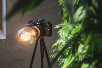 Eine Designerlampe aus einer alten, digitalen Kamera steht vor einem vertikalen Garten